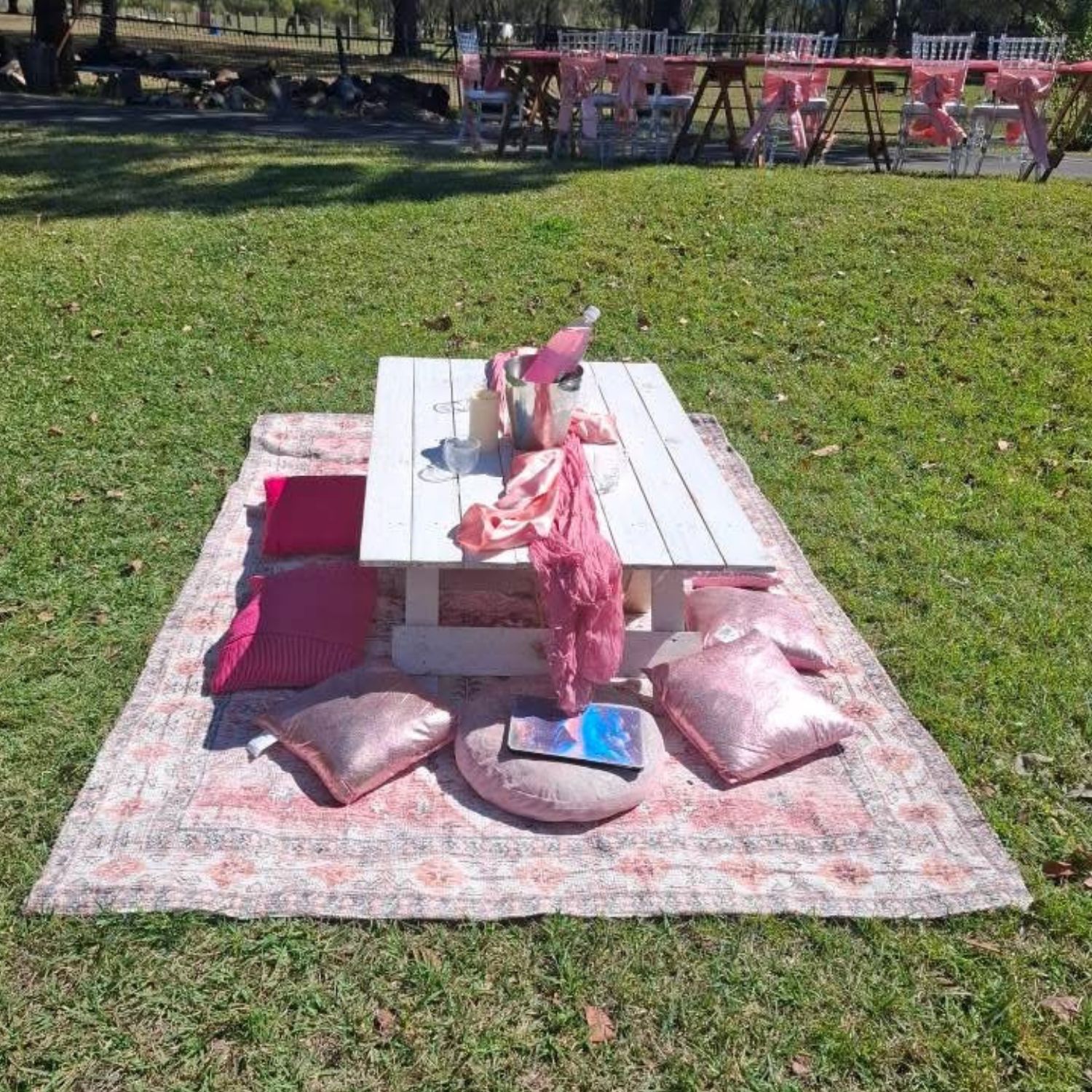 A Longest Table host having an outdoor picnic